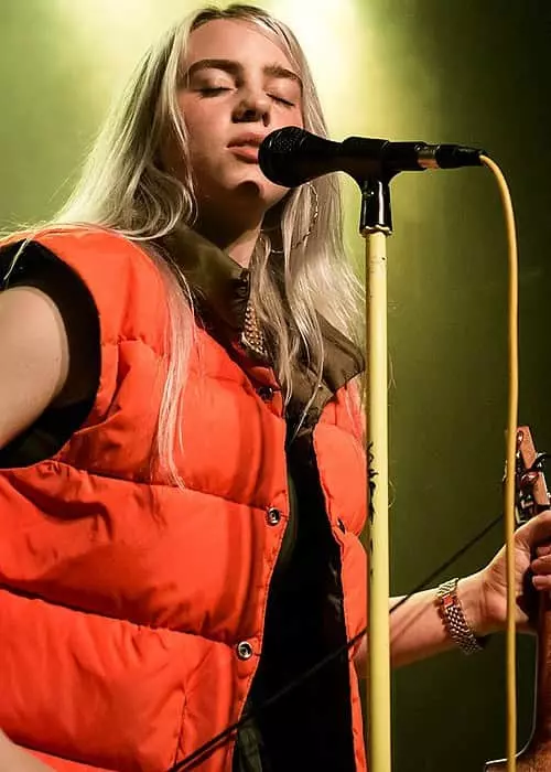 Billie Eilish as seen in December 2017