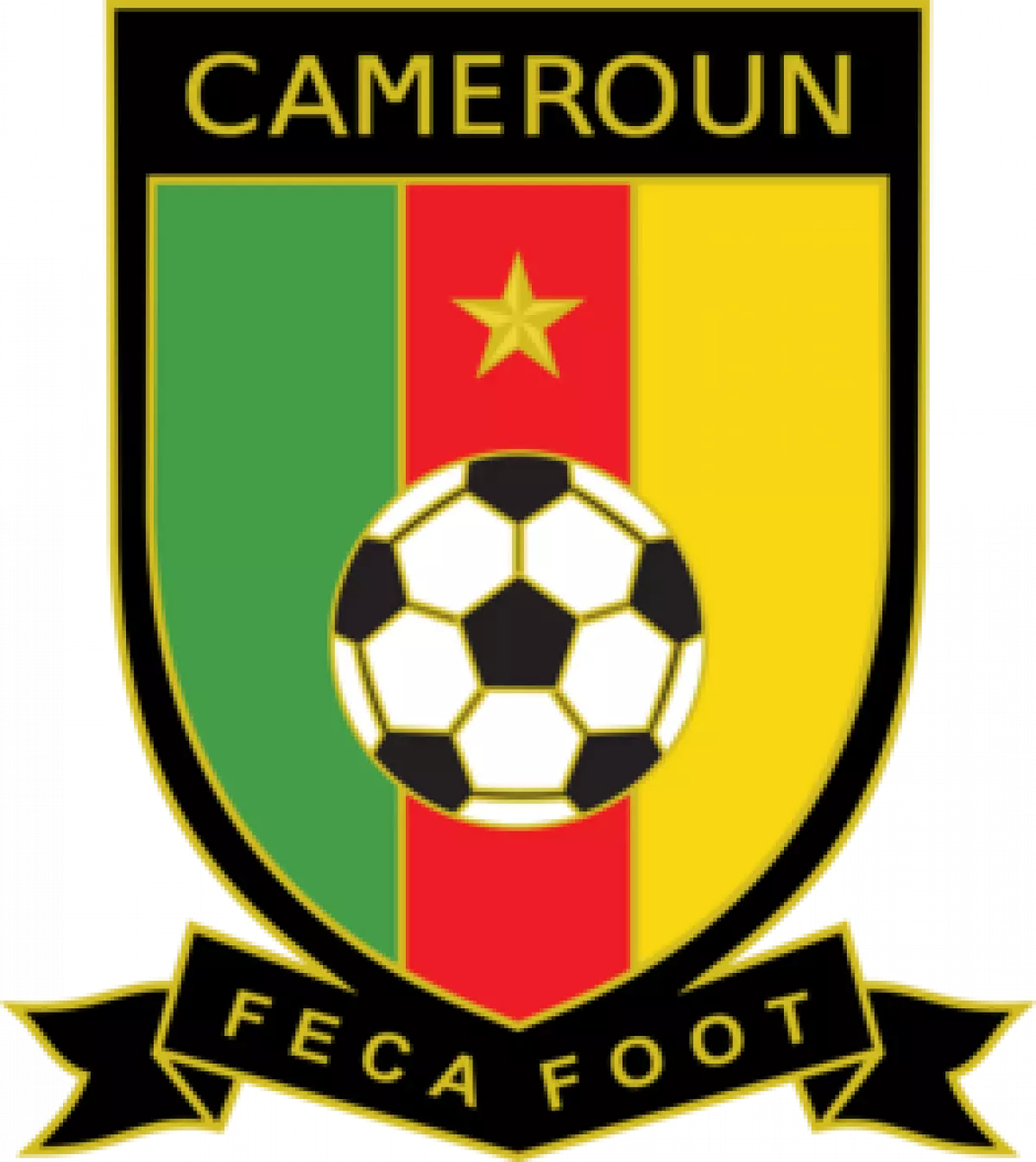 Cameroon National Football Team