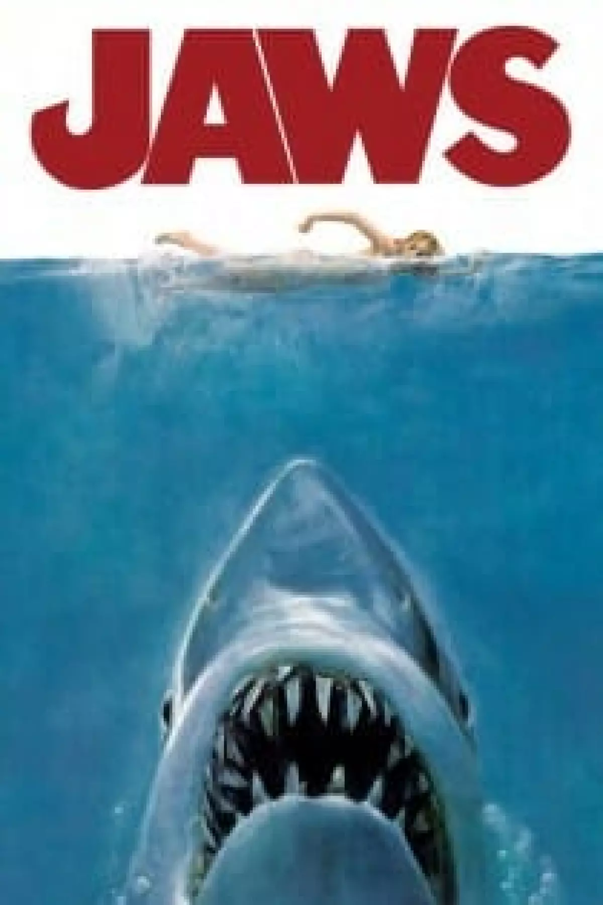 Jaws Image