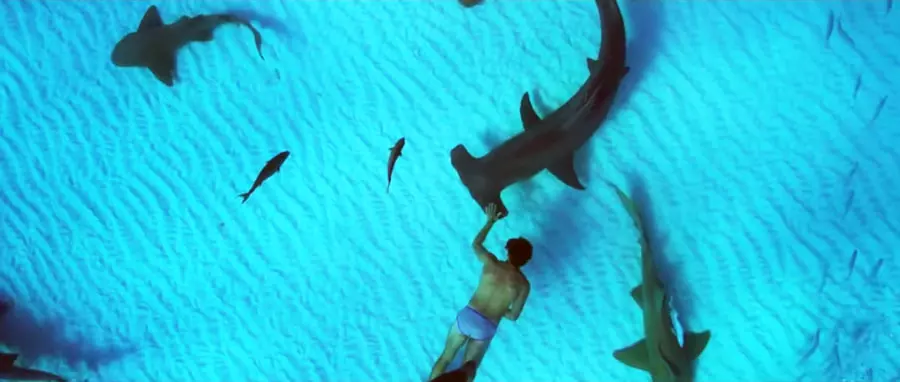 Man swimming with sharks in Sharkwater Extinction