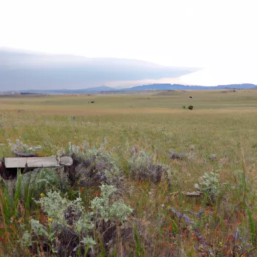 Uncovering the Secrets of Open Range: Exploring Where It Was Shot