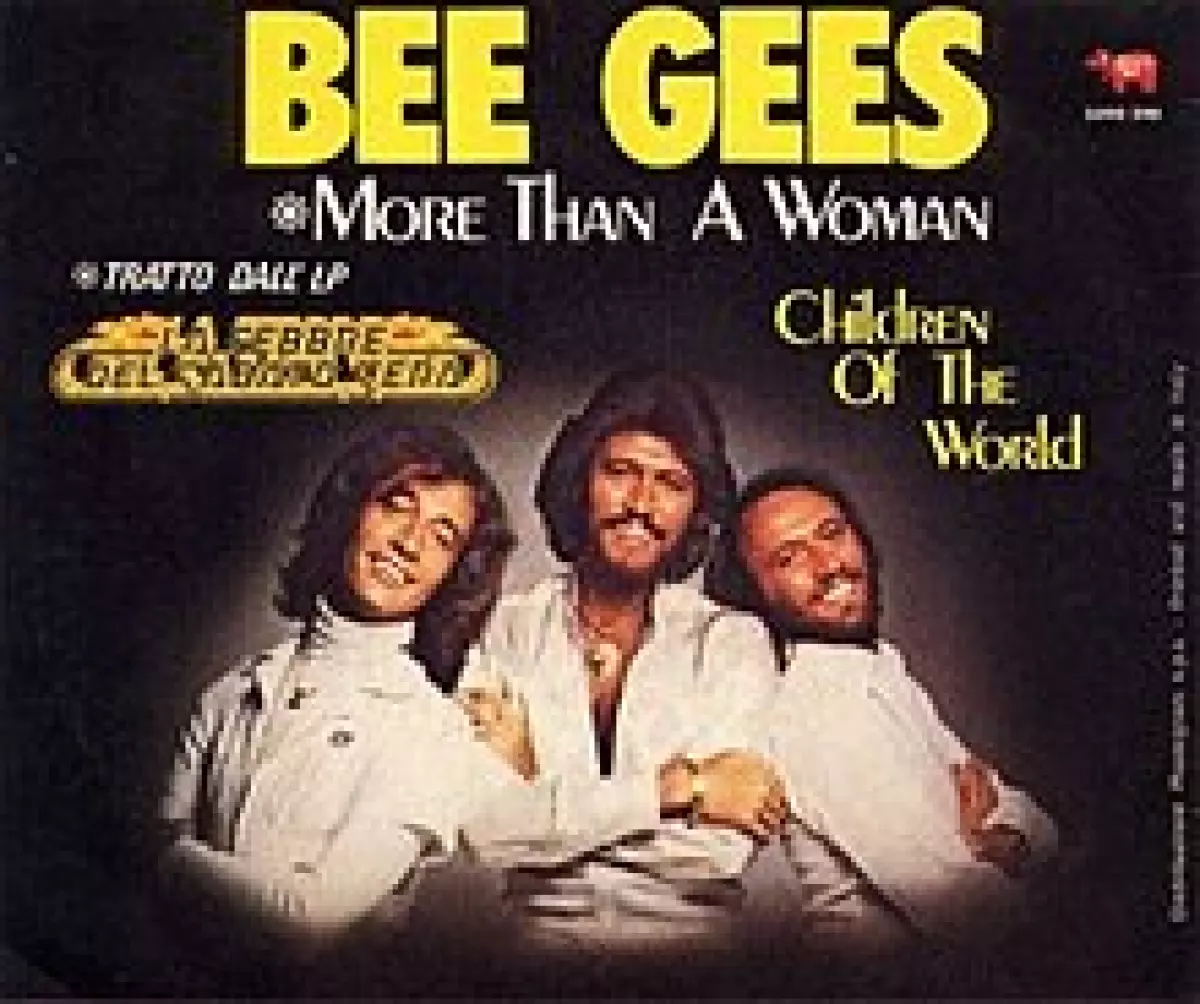 More Than a Woman (Bee Gees song)
