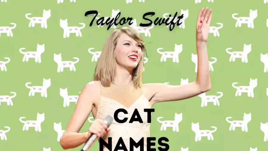 Taylor Swift Cat Names