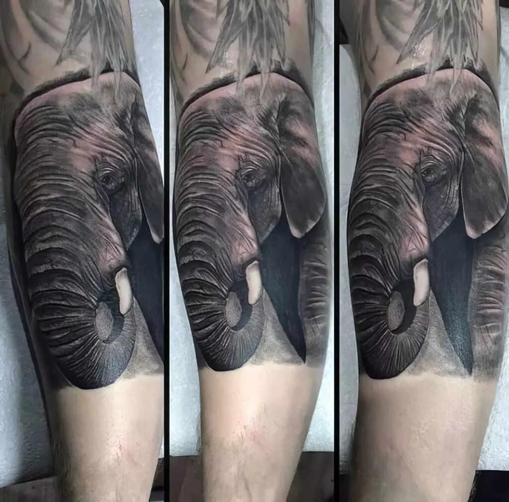elephant tattoo for men 10 1