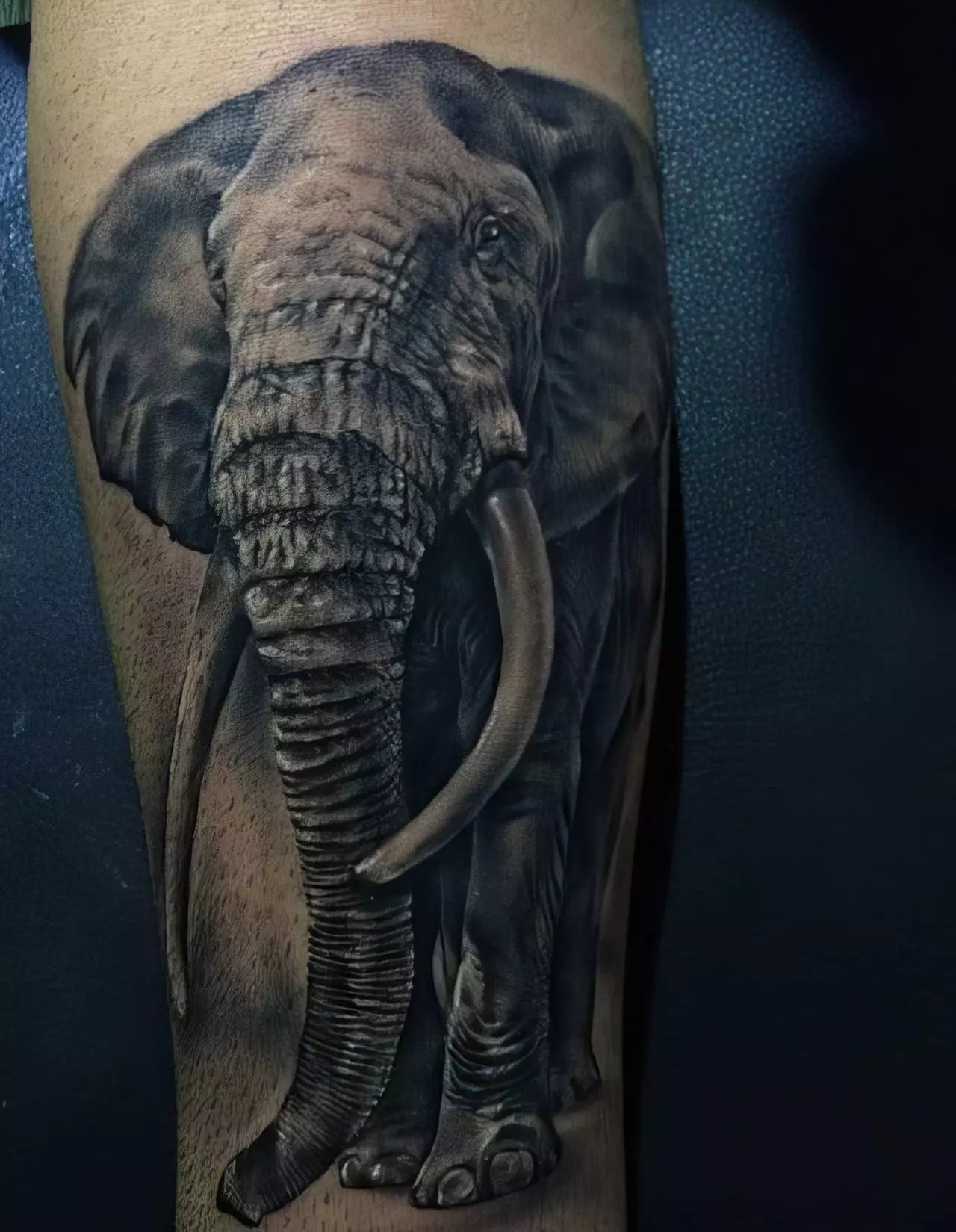 elephant tattoo for men 16